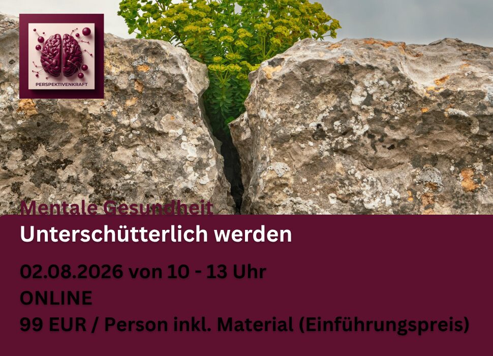 Online-Workshop „Unerschütterlich werden“ zum Thema mentale Gesundheit und Resilienz, 02.08.2026 von 10 bis 13 Uhr